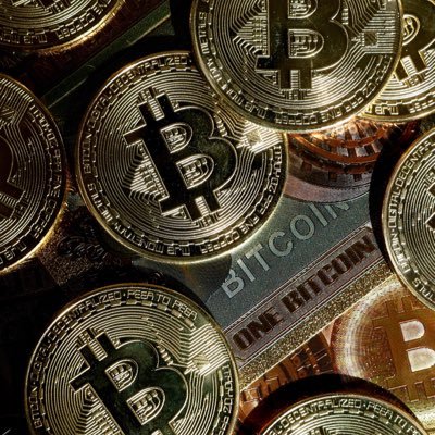 cryptoactu64's profile picture. 