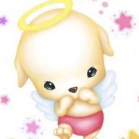 뿌띠 (@hbd8irl) 's Twitter Profile Photo