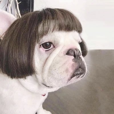 Only_00J's profile picture. 