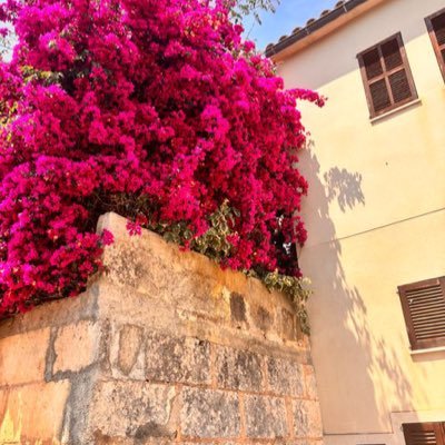 Maikaeferfuel's profile picture. 🖤💛🇩🇪