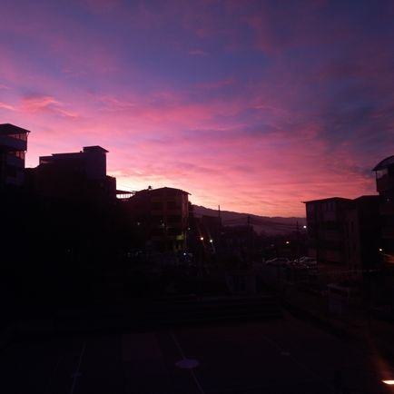 wildhorse053100's profile picture. 