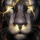 BabaYadav294498's profile picture. 