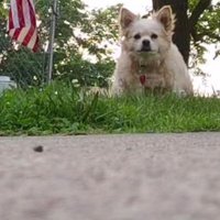 Philip Whybrew (@phillipwhybrew) 's Twitter Profile