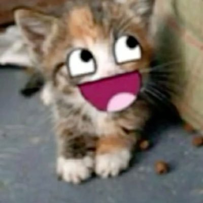 toplolcat's profile picture. (f)artist