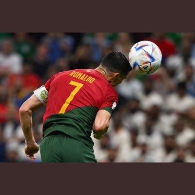 neshamajireh's profile picture. 