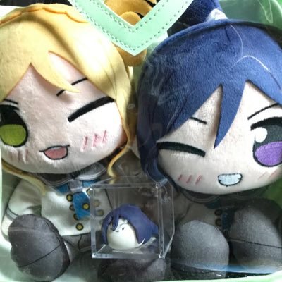 ころ丸🐬✨🌺さんのプロフィール画像