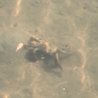 Jf3qz4wgBsHSZ9P's profile picture. 成人済みのオタク 無言フォロー失礼します ヒロアカと人外が好きです。