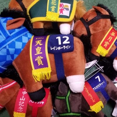 🍢たけちゃん🍥龍馬ジュン激推し🍥🏇競馬好きの人🏇さんのプロフィール画像