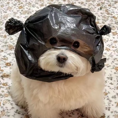 web3467888's profile picture. 保持真实，永远乐观

#DC  web3467888

偷撸: @black41910

#BTC  #ETH
