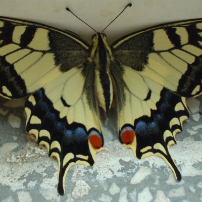 Teresa489962031's profile picture. 