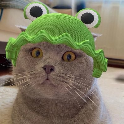 strawberryask's profile picture. sütü çilekli seni sürekli’🍓