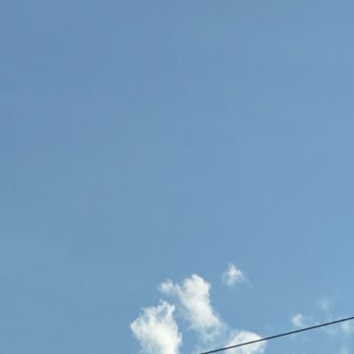 soaring_petal's profile picture. 🎀