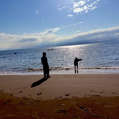 Antagonist11754's profile picture. 【ここから先は私有地です】 ___ 沈黙は金なり。