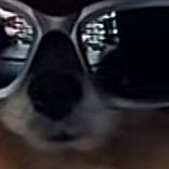 Iingfhabing's profile picture. 