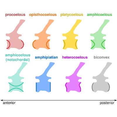 Shinnsouke5151's profile picture. 🤨