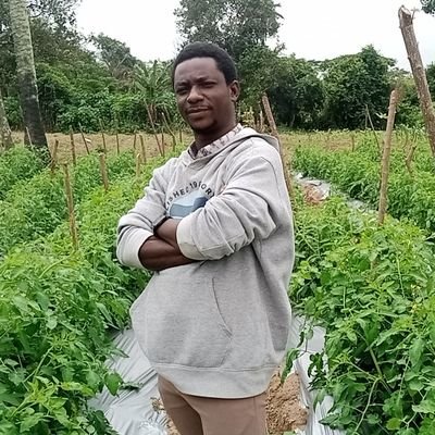 farmaggregateng's profile picture. Setting Up a Modern Vegetable Farm | @farmaggregateNG https://t.co/dFheHeN2jq https://t.co/sCAtSDSLkR