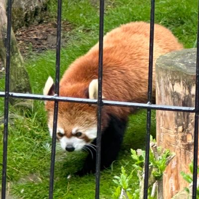 takashiさんのプロフィール画像
