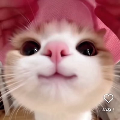 ZVc6D16GKprV93N's profile picture. 春から帝京　法学法律