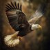 JPBadel79 (@jpbadel79) Twitter profile photo JPBadel79 (@jpbadel79) Twitter profile photo