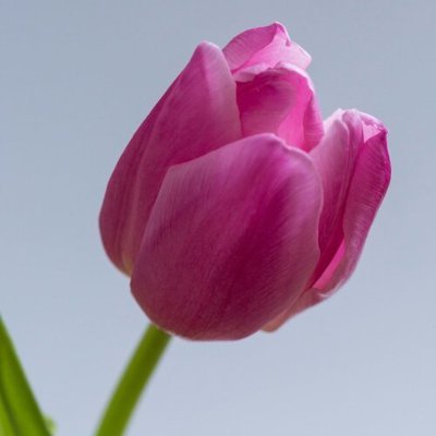 AppleCi32174093's profile picture. 💟Good people of all Colors & Religions. 💞Karma.
I hate🤜🤜🤜ZionistNazi Genociders:🩸👹NATO🇪🇺🇺🇸🇬🇧🕸👾🇮🇱🤑🇺🇦🚮