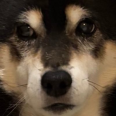 純愛ソムリエさんのプロフィール画像