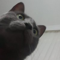 kazıkçı çarşamba esnafı (@kazikci55) 's Twitter Profile Photo kazıkçı çarşamba esnafı (@kazikci55) 's Twitter Profile Photo