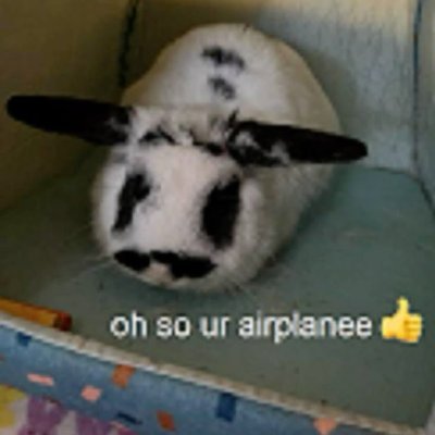 semibooba's profile picture. hi i am semi  i like bunnys