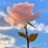 熊大 (@daniellewh47034) 's Twitter Profile