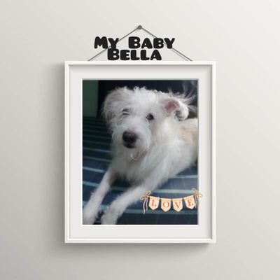 chelle102775's profile picture. I am starting to vlog to become a vlogger.