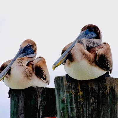 drkate34231's profile picture. Counselor & Success Coach