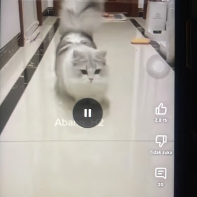 singkil19's profile picture. 