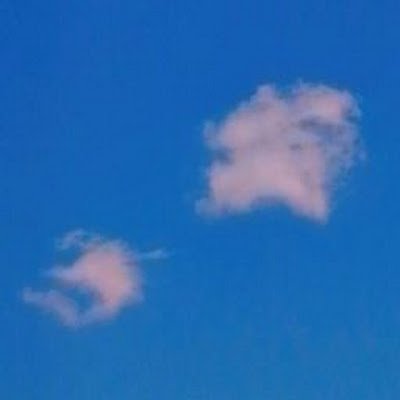 Jamilomani58278's profile picture. 