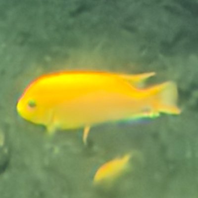 mknk_Cさんのプロフィール画像