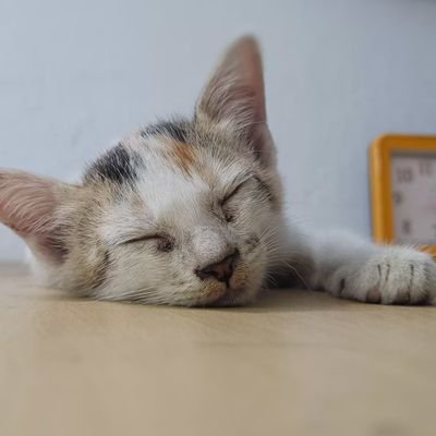 Ubu089's profile picture. 