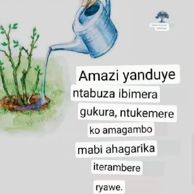 Chastesande's profile picture. let's stay together