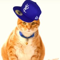 neil. (@chilldude74) 's Twitter Profile Photo neil. (@chilldude74) 's Twitter Profile Photo