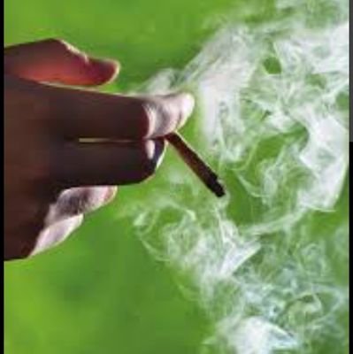 blackmonk300's profile picture. weedislife.
weedismybestfriend.