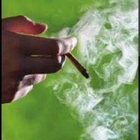 weedadvocate.ke (@blackmonk300) 's Twitter Profile