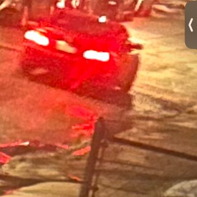 SumoMoody's profile picture. 