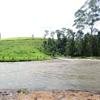 WEDON989012345's profile picture. Focusing on current and future issues @Determination, Environmentalist 🌳🌲🏞️🌧️ as well as Future teacher 🦩🦩✍️