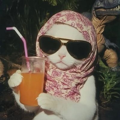 Una chica de algún lugar del mundo.
Vine a escribir sin pensar, para no gritar. Me tomo un juguito mientras el mundo arde.