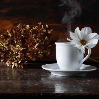 Bokep_jav_NzhkE's profile picture. 