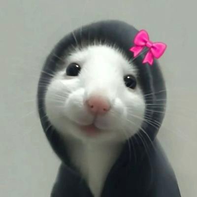 sesendd's profile picture. 