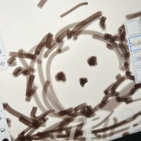 amelwoah (@amelrist) 's Twitter Profile