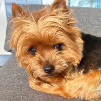 Margarita (@m_n_d_) 's Twitter Profile