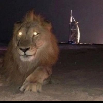 |🇮🇹-😈|
Twitch: Erooooxxx77.
🐐🌴🫧.
Player for stormesportsRNG