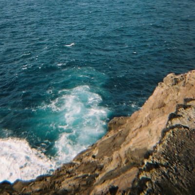 penso_ines's profile picture. 