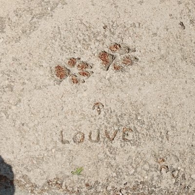 VeroZija's profile picture. Je suis rasiste aux CONSSSS