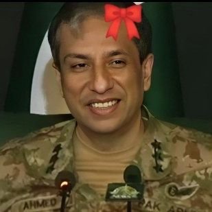 SalmanL98116320's profile picture. Long live Pakistan 🇵🇰