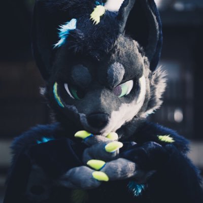 Eis_sinmetuGARO's profile picture. 🎯🔰📷🔰 No.ウーノ🦊❤️ 🐯ネロリ🐺影走 （えいそう）👑🐃ミレパ❤️